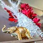 Perfect Close To The Portimão